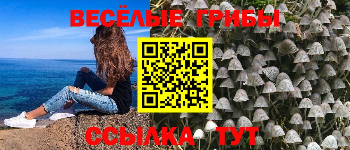 что такое   Псилоцибиновые грибы мицелий  Геленджик  Вход с VPN  Псилоцибиновые грибы MAGIC MUSHROOMS 