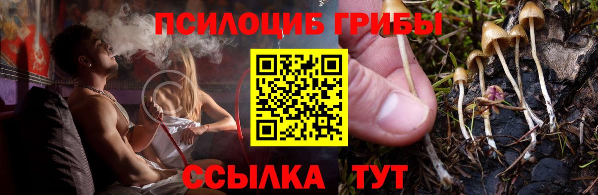 Псилоцибиновые грибы мицелий Геленджик